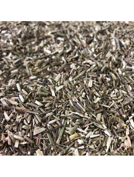 Image principale de Verveine officinale Bio - Partie aérienne coupée 100g - Tisane de Verbena officinalis L.