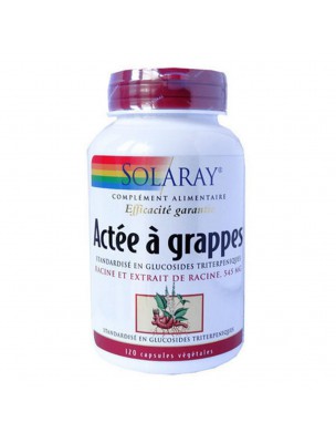 Image de Actée à grappes - Ménopause et Articulations 120 capsules - Solaray via Armoise Bio - 100g - Tisane Artemisia vulgaris L.