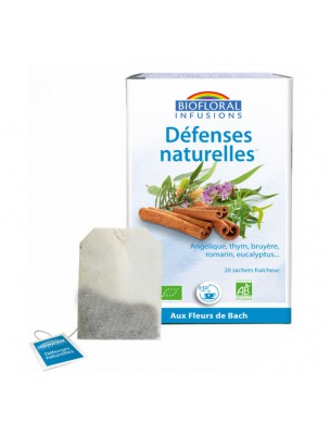 Image de Défenses Naturelles, Protection et Résistance - 20 infusettes - Biofloral depuis Résultats de recherche pour "romarin-cineole-huille"