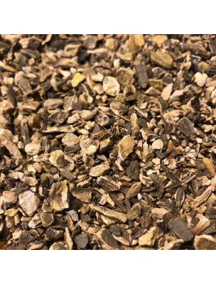 Image de Rhubarbe - Racine coupée 100g - Tisane de Rheum officinalis / palmatum depuis Tisanes unitaires de qualité en ligne - Commandez maintenant ! (10)