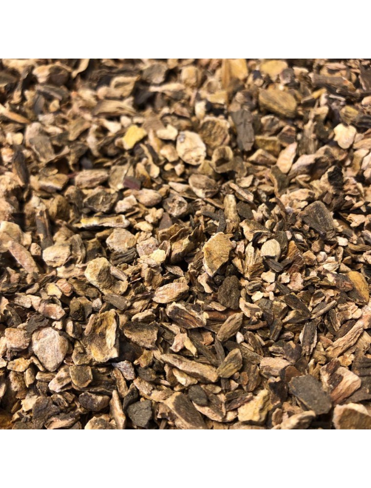 Image principale de la modale pour Rhubarbe - Racine coupée 100g - Tisane de Rheum officinalis / palmatum