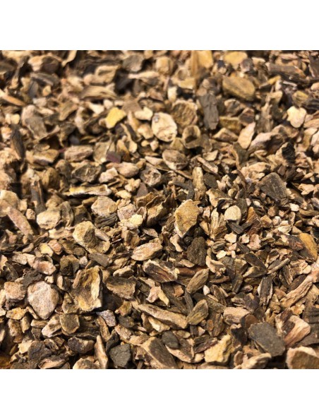 Achetez Rhubarbe - Racine coupée 100g - Tisane de Rheum officinalis / palmatum à l'herboristerie Louis Image principale de Rhubarbe - Racine coupée 100g - Tisane de Rheum officinalis / palmatum