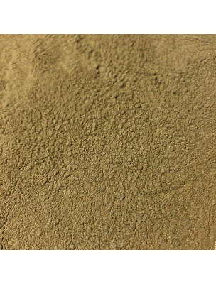 Image de Amla - Fruit Powder 100g - Herbal TeaEmblica offinalis / Myrobalani depuis The raw materials needed for DIY