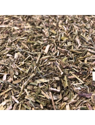Image de Chanter's herb - Cut aerial part 100g - Herbal tea of Sisymbrium officinale depuis Voice and vocal cords