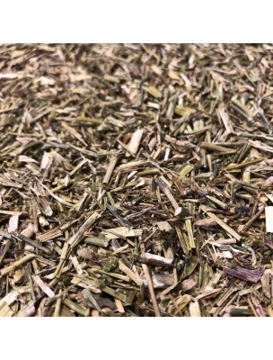 Image de Herbe aux Chantres - Partie aérienne coupée 100g - Tisane de Sisymbrium officinal depuis Résultats de recherche pour "Tisane Respirat"