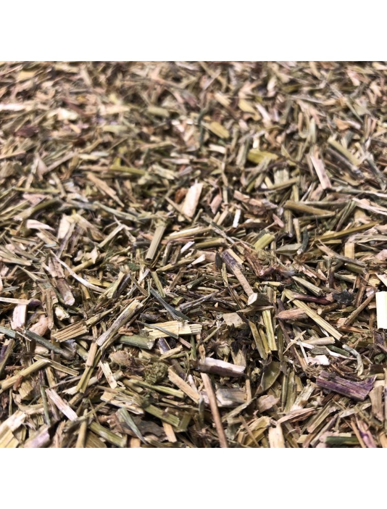 Image principale de la modale pour Herbe aux Chantres - Partie aérienne coupée 100g - Tisane de Sisymbrium officinal