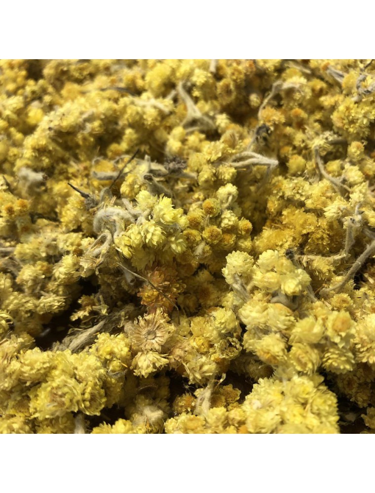 Image principale de la modale pour Immortelle des Sables - Fleurs 50 g - Tisane d'Helichrysum arenarium