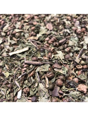 Image de Scrofulaire - Partie aérienne coupée 100 g - Tisane de Scrofularia nodosa depuis Résultats de recherche pour "Tisane Articula"