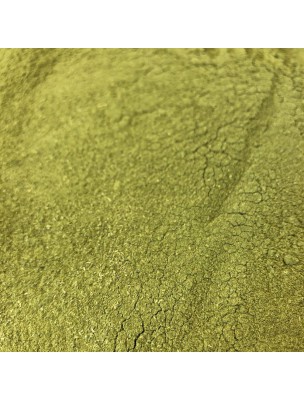 Image de Moringa Organic - Leaf Powder 100g - Moringa oleifera Herbal Tea depuis The richness of Moringa, known for the well-being of the body