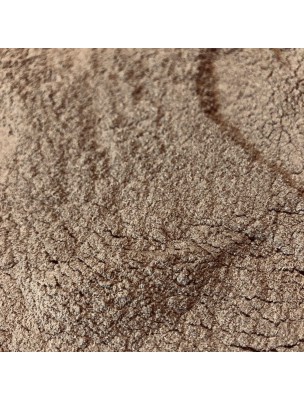Image de Partenelle (Grande camomille) Bio - Partie aérienne poudre 100g - Tisane de Tanacetum parthenium (L.) Sch. depuis louis-herboristerie