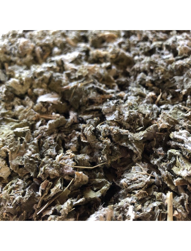 Image principale de la modale pour Grande Bardane Bio - Feuille coupée 100g - Tisane d'Arctium lappa