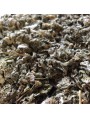 Image de Grande Bardane Bio - Feuille coupée 100g - Tisane d'Arctium lappa via Acheter Carotte 325mg Bio - Bronzage 90 gélules - MGD