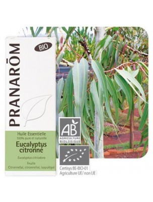Image de Eucalyptus citronné Bio - Huile essentielle d'Eucalyptus citriodora 10 ml - Pranarôm depuis Éloigner les moustiques, et apaiser les piqûres