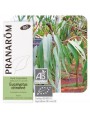 Image de Lemon Eucalyptus Bio - Essential oil of Eucalyptus citriodora 10 ml Pranarôm via Buy Gaultheria procumbens Essential Oil