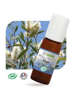 Image de Organic Winter Roll-on - Face and Body 5 ml - (French) Propos Nature depuis Essential oil sticks to go