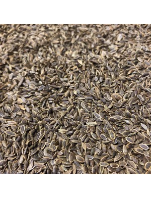 Image de Aneth - Fruit 100g - Tisane d'Anethum graveolens via Aneth Bio - Cristaux d'huiles essentielles - 10g