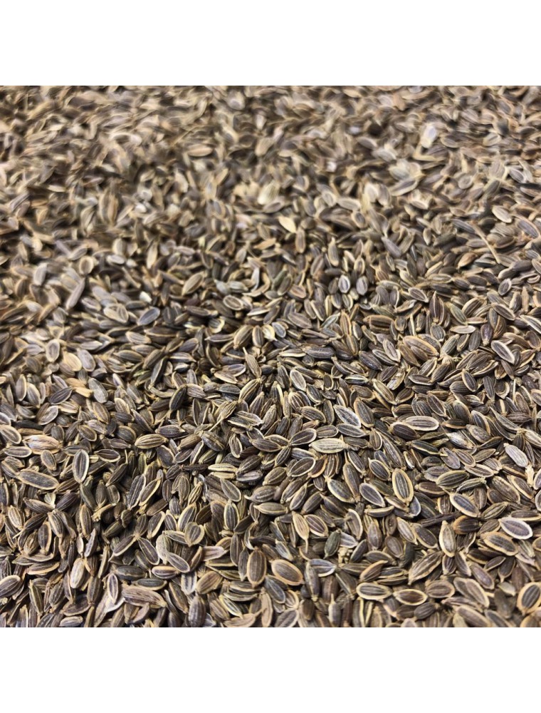 Image principale de la modale pour Aneth - Fruit 100g - Tisane d'Anethum graveolens