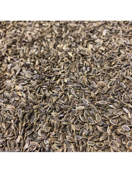 Image principale de Aneth - Fruit 100g - Tisane d'Anethum graveolens