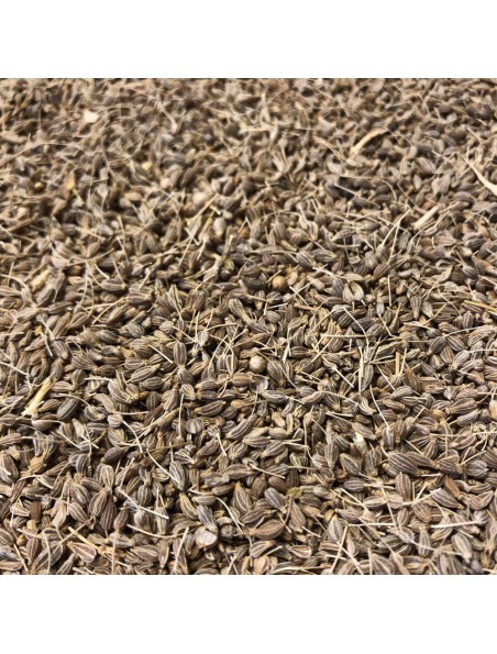 Achetez Anis vert d'Espagne - Fruit 100g - Tisane de Pimpinella anisum à l'herboristerie Louis Image principale de Anis vert d'Espagne - Fruit 100g - Tisane de Pimpinella anisum