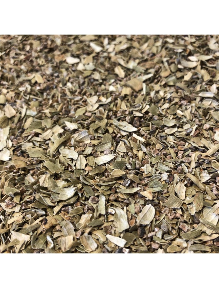 Cardamome - Fruit coupé 100g - Tisane d'Elettaria cardamomum Cardamome - Fruit coupé 100g - Tisane d'Elettaria cardamomum