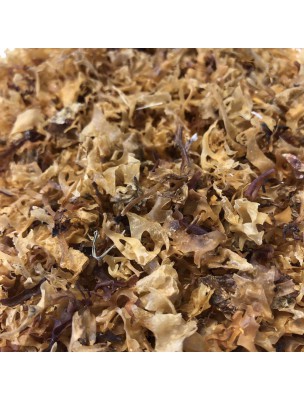 Image de Carragaheen - Thalle coupé 100g - Tisane de Chondrus crispus depuis Achetez les produits Louis à l'herboristerie Louis (4)