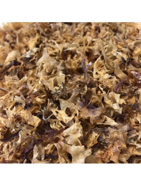 Carragaheen - Thalle coupé 100g - Tisane de Chondrus crispus