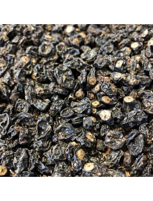 Image de Cassis - Baie 100g - Tisane de Ribes nigrum depuis Résultats de recherche pour "Tisane Respirat"