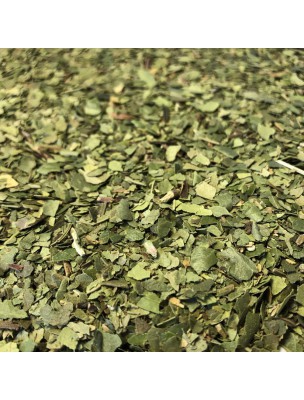 Image de Arbousier - Feuilles coupées 100 g - Tisane d'Arbutus unedo depuis louis-herboristerie