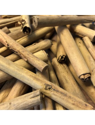 Image de Cinnamon Bio - Sticks 100 g - Cinnamomum verum herbal tea J. Presl depuis Buy your natural and organic spices and herbs here
