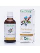Chardon béni - Appétit et Digestion Teinture-mère Cninus benedictus 50 ml - Herbiolys