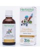 Coquelicot plante entière Bio - Stress et Sommeil Teinture-mère Papaver rhoeas 50 ml - Herbiolys
