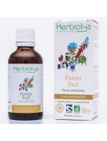 Image de Poirier Fruit Bio - Antioxydant Teinture-mère de Pyrus communis 50 ml - Herbiolys depuis ▷▷ Teintures mères de plantes commençant par la lettre P (2)