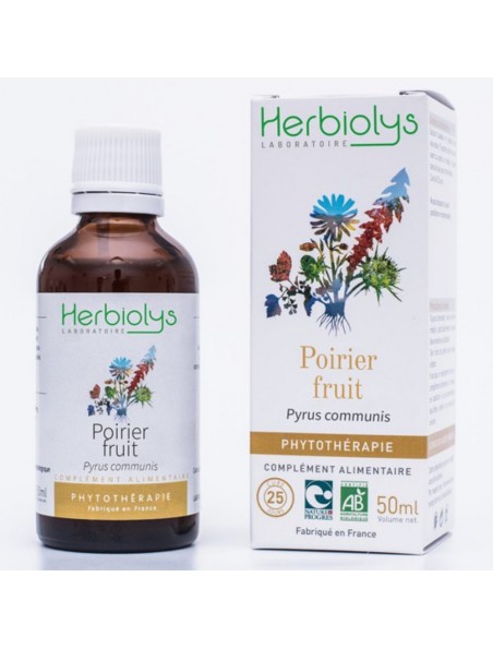 Achetez Poirier Fruit Bio - Antioxydant Teinture-mère de Pyrus communis 50 ml - Herbiolys à l'herboristerie Louis Image principale de Poirier Fruit Bio - Antioxydant Teinture-mère de Pyrus communis 50 ml - Herbiolys