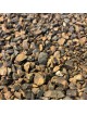 Kola ou noix de Kola - Graine coupée 200 g - Tisane de Cola nitida