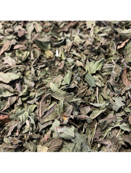 Image principale de Menthe poivrée Bio - Feuilles entières 100g - Tisane de Mentha piperita L.