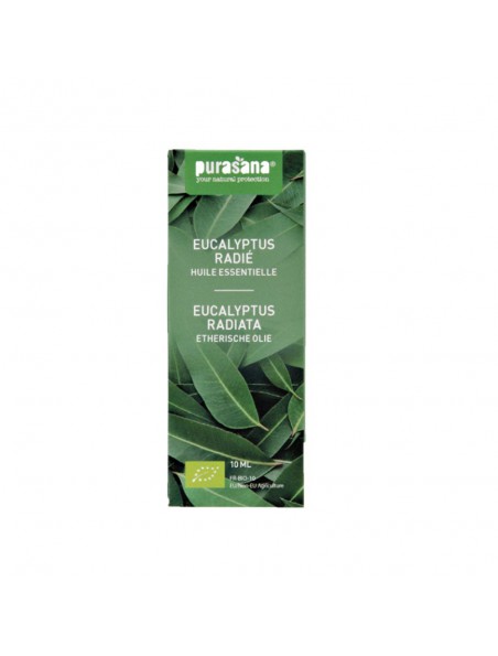 Eucalyptus radié Bio - Huile essentielle d'Eucalyptus radiata Sieber ex DC. 10 ml - Purasana Eucalyptus radié Bio - Huile essentielle d'Eucalyptus radiata Sieber ex DC. 10 ml - Purasana