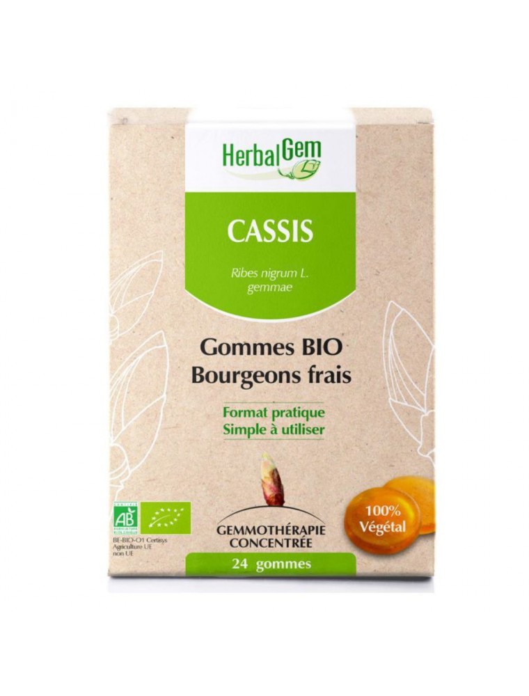 Cassis bourgeons gommes Bio - Articulations et Tonus 24 gommes - Herbalgem Cassis bourgeons gommes Bio - Articulations et Tonus 24 gommes - Herbalgem