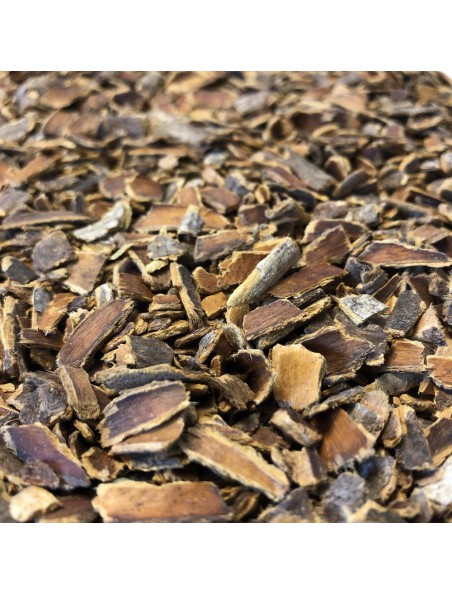 Cascara sagrada - Écorce coupée 100 g - Tisane de Rhamnus purshiana