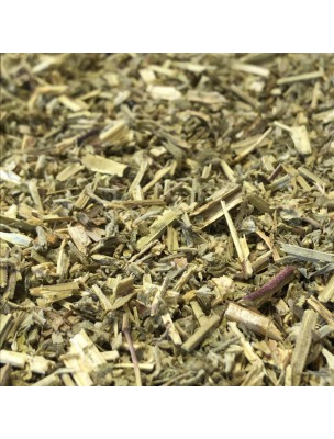 Image de Catnip - Aerial part 100 g - Nepeta cataria herbal tea depuis Antioxidants in all their forms