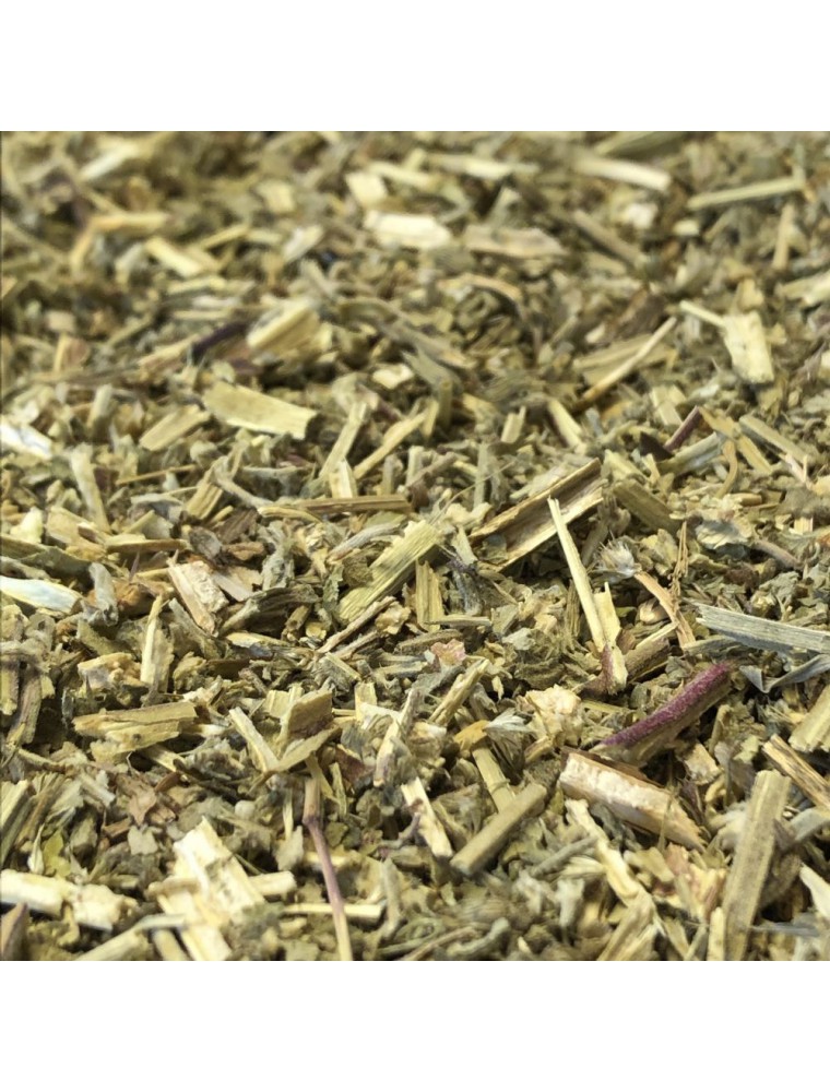Cataire - Partie aérienne 100 g - Tisane de Nepeta cataria Cataire - Partie aérienne 100 g - Tisane de Nepeta cataria