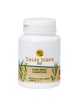 Saule blanc Bio - Douleurs 60 gélules - Nature et Partage