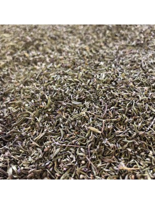 Image de Thym "Sud France" Bio - Feuille entière 100 g - Tisane de Thymus vulgaris via Tisane Pectorale Respiration N°2 - 100g