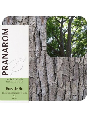 Image de Bois de Ho - Huile essentielle Cinnamomum camphora ct linalol 10 ml - Pranarôm depuis Aromathérapie : huiles essentielles unitaires pour votre bien-être