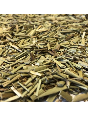 Image de Sanicle - Partie aérienne coupée 100 g - Tisane de Sanicula europaea depuis Résultats de recherche pour "Tisane pour les"