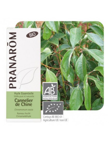 Image principale de Cannelier de Chine Bio - Cinnamomum cassia 10 ml - Pranarôm