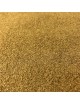 Cumin Bio - Graine poudre 100g - Tisane de Cuminum Cyminum L.