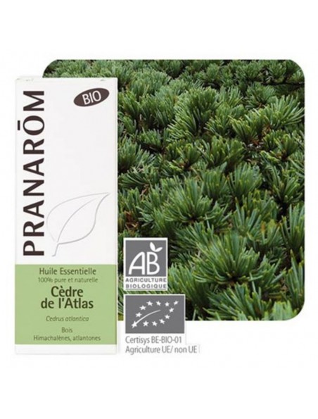 Image principale de Cèdre de l'Atlas Bio - Huile essentielle de Cedrus atlantica 10 ml - Pranarôm