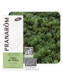Image de Cedar of the Atlas Bio - Essential oil of Cedrus atlantica 10 ml - Pranarôm via Buy Cypress de Provence (Evergreen Cypress) Organic - Cupressus