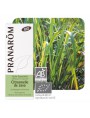Image de Citronnelle de Java Bio - Huile essentielle Cymbopogon winterianus 10 ml - Pranarôm via Acheter Citronnelle Bio - Feuilles coupées 100g - Tisane Cymbopogon