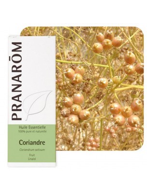 Petite image du produit Coriandre - Huile essentielle de Coriandrum sativum 10 ml - Pranarôm